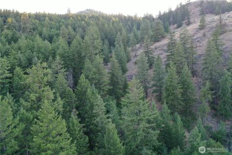 111 Eaglebluff Oroville WA 98844