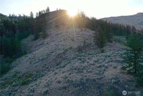 111 Eaglebluff Oroville WA 98844