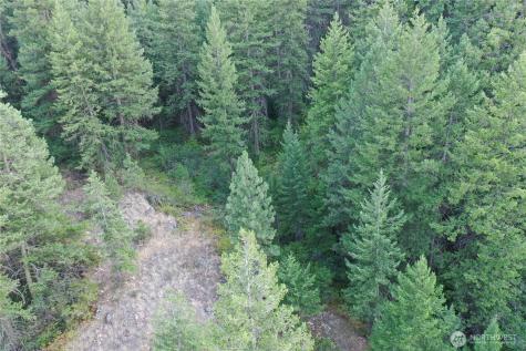 111 Eaglebluff Oroville WA 98844