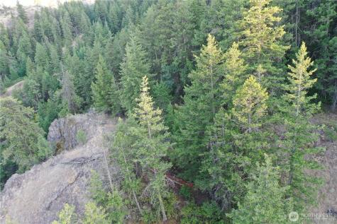111 Eaglebluff Oroville WA 98844