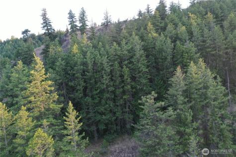 111 Eaglebluff Oroville WA 98844