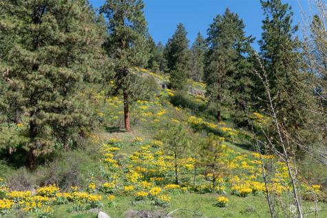 10690 Fox Road Leavenworth WA 98826