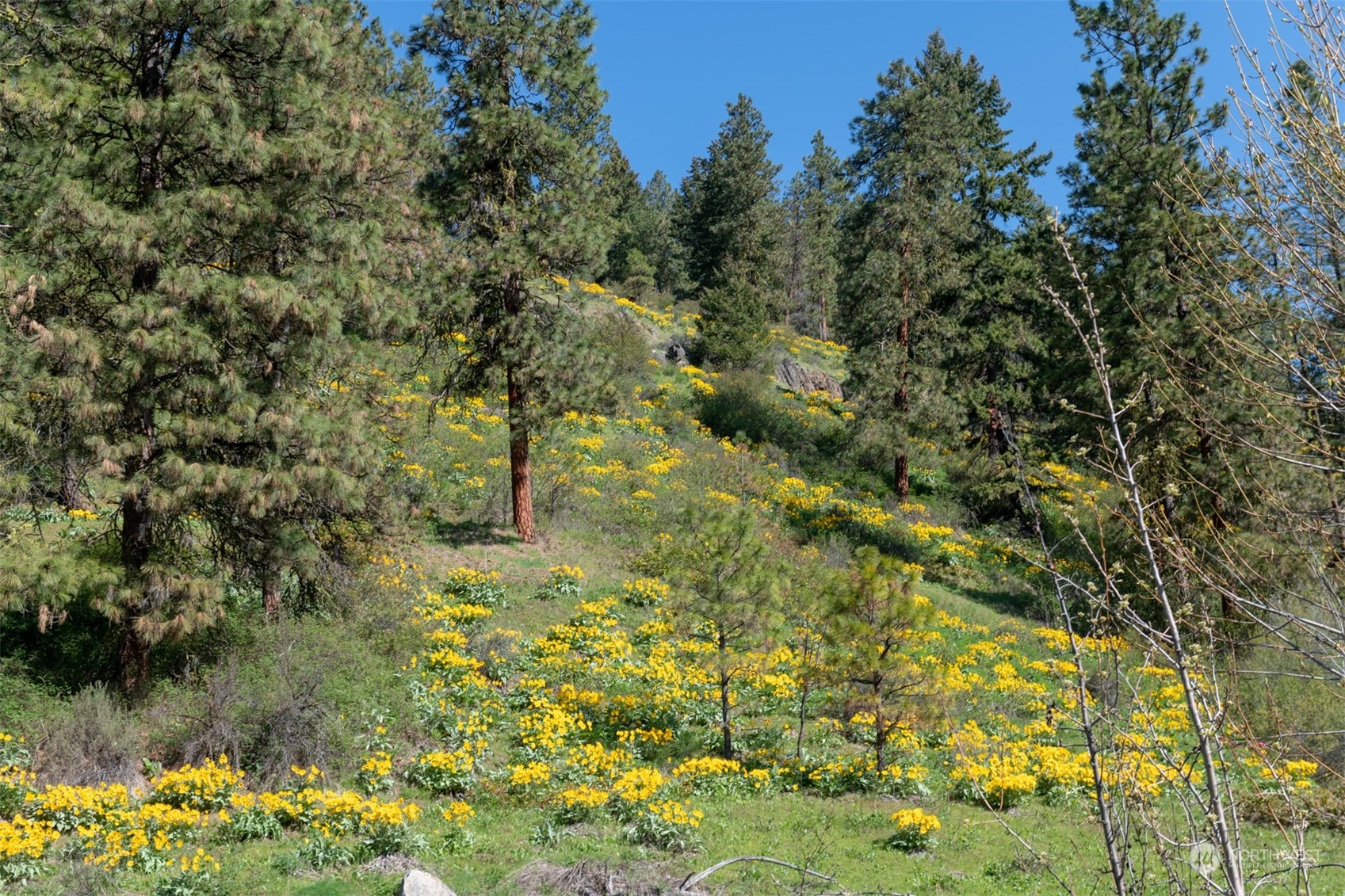 10690 Fox Road Leavenworth WA 98826