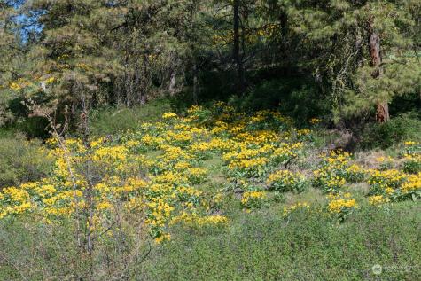 10690 Fox Road Leavenworth WA 98826