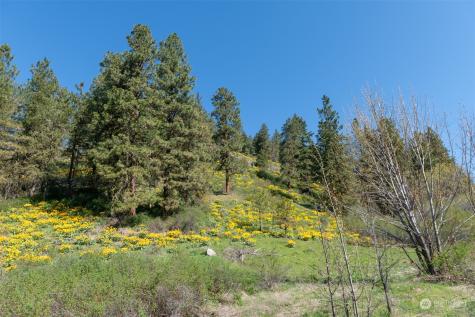 10690 Fox Road Leavenworth WA 98826