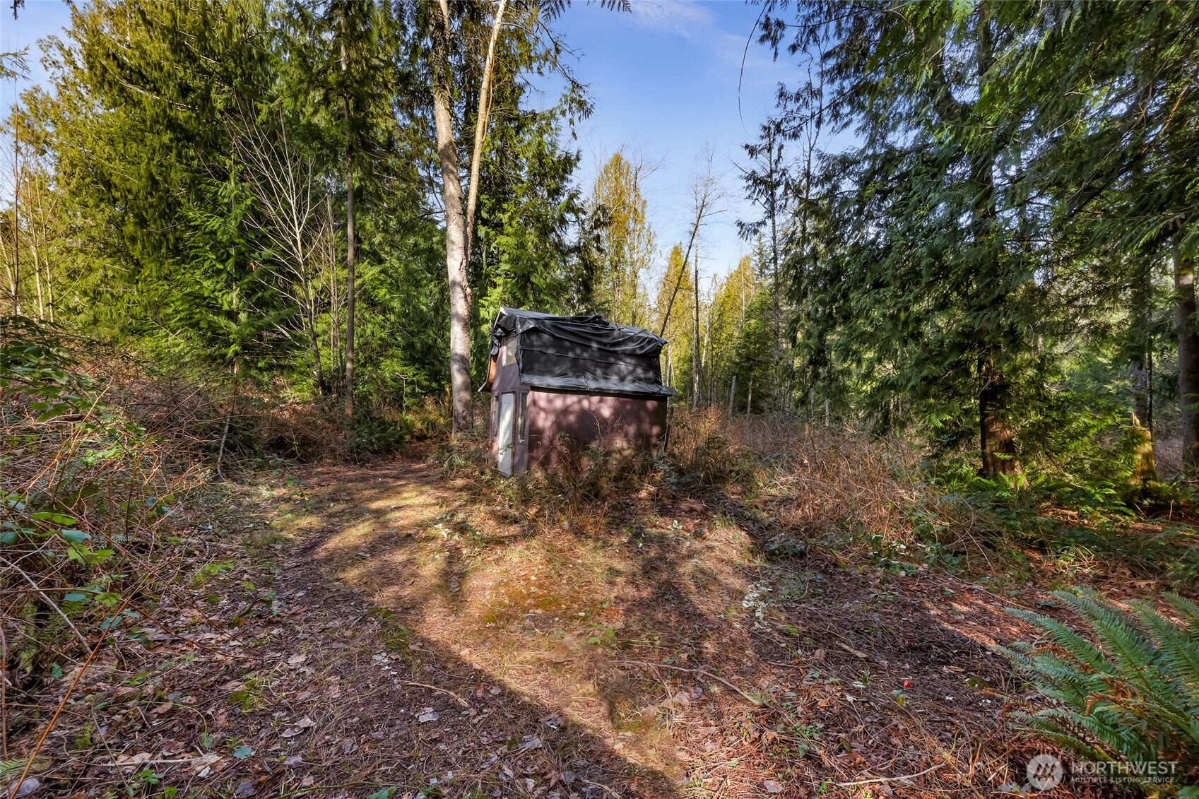 6655 N Fruitdale Road Sedro Woolley WA 98284