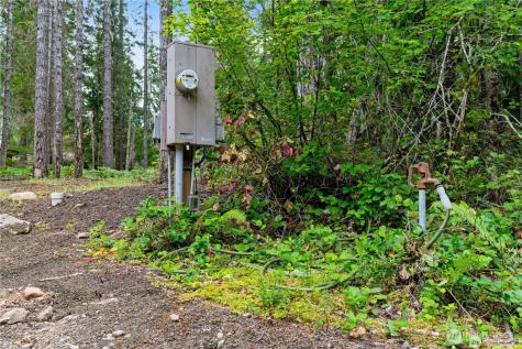 1291 N Potlatch Drive Hoodsport WA 98548