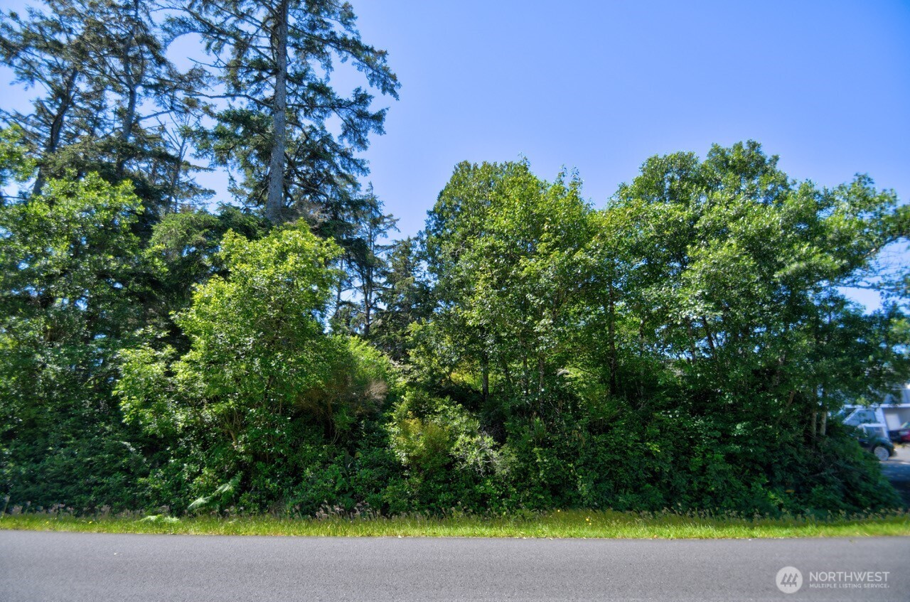 655 Sunset Avenue NE Ocean Shores WA 98569