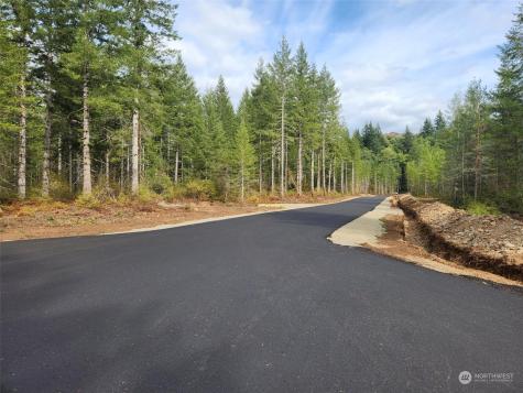 0 Lot 5 Divide 1 Raven Lane Elma WA 98541
