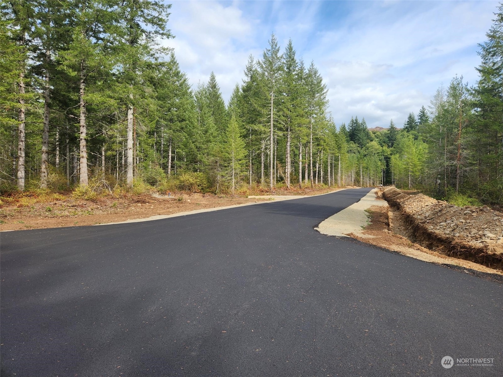 0 Lot 5 Divide 1 Raven Lane Elma WA 98541