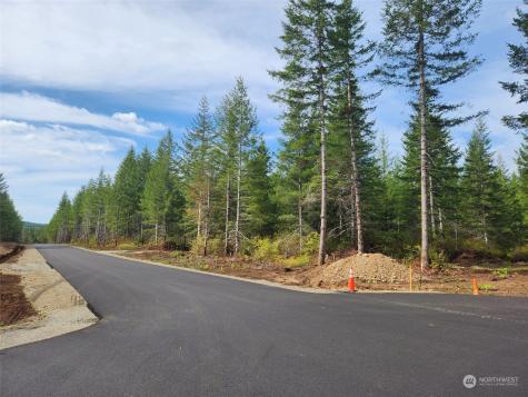 0 Lot 5 Divide 1 Raven Lane Elma WA 98541