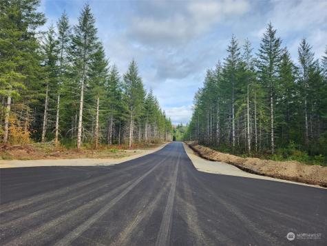 0 Lot 5 Divide 1 Raven Lane Elma WA 98541