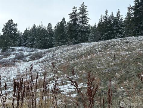 0 Redfield Road Waterville WA 98858