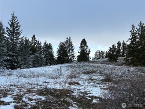 0 Redfield Road Waterville WA 98858