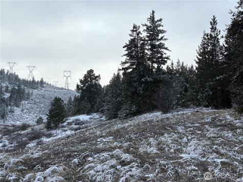 0 Redfield Road Waterville WA 98858