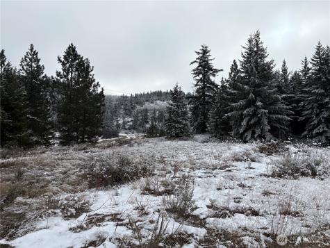 0 Redfield Road Waterville WA 98858