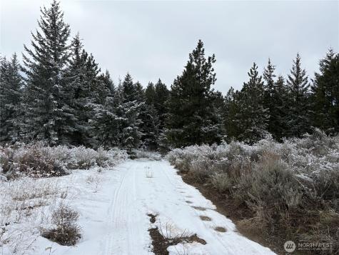 0 Redfield Road Waterville WA 98858