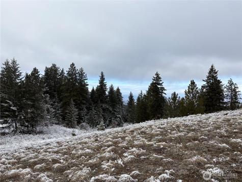 0 Redfield Road Waterville WA 98858