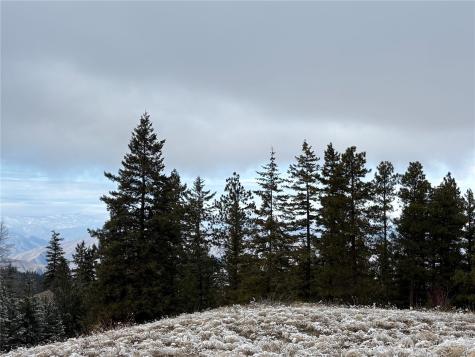 0 Redfield Road Waterville WA 98858