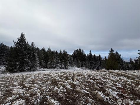 0 Redfield Road Waterville WA 98858