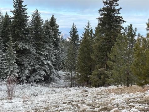 0 Redfield Road Waterville WA 98858