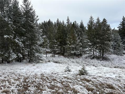 0 Redfield Road Waterville WA 98858
