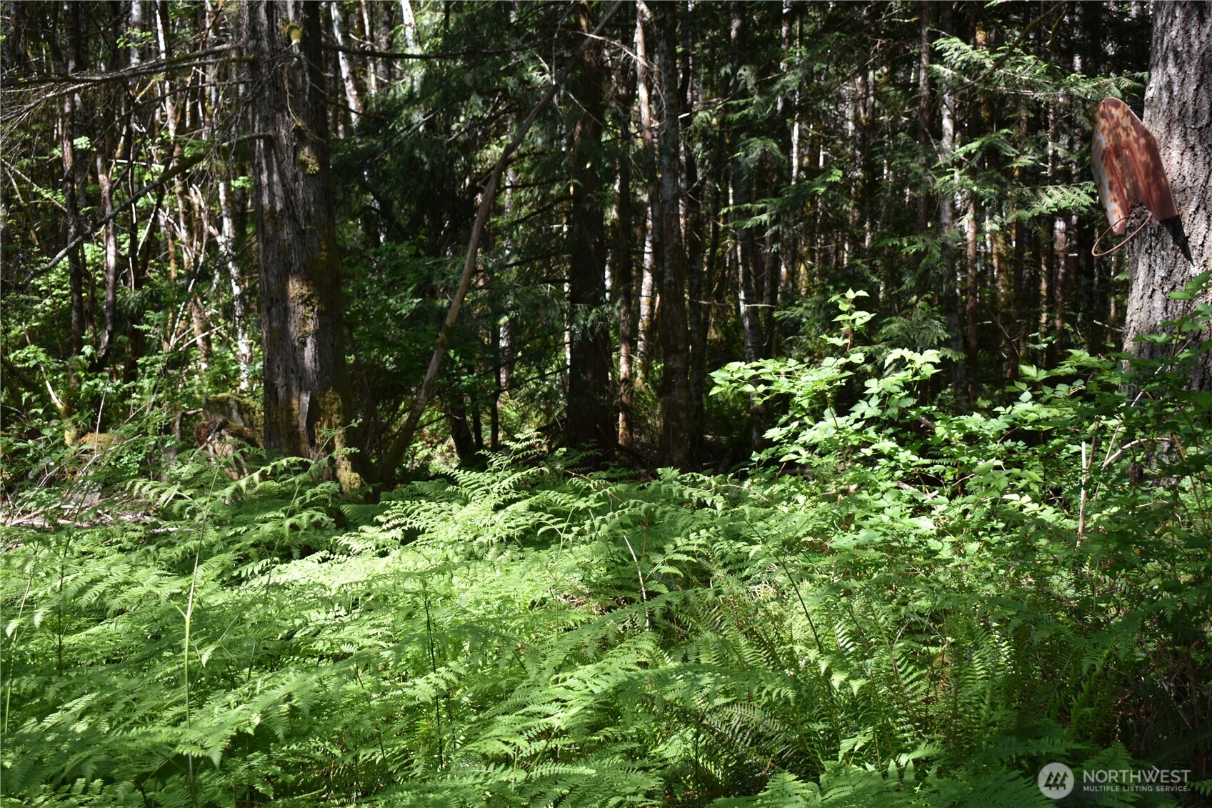 130 W Satsop Drive Elma WA 98541