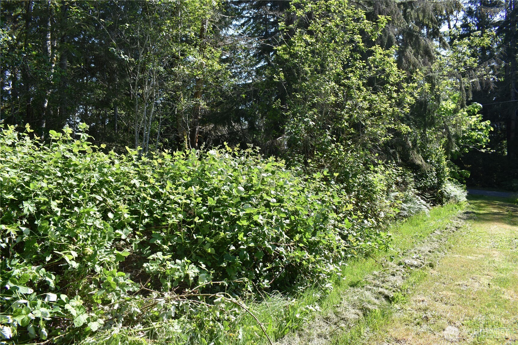 130 W Satsop Drive Elma WA 98541