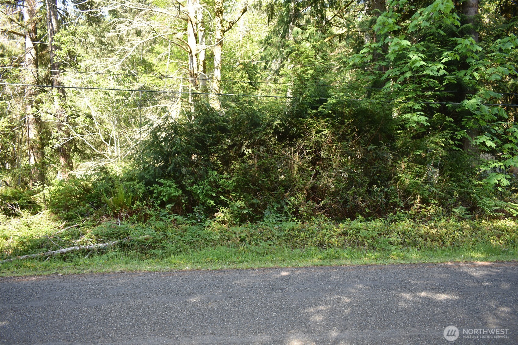 130 W Satsop Drive Elma WA 98541