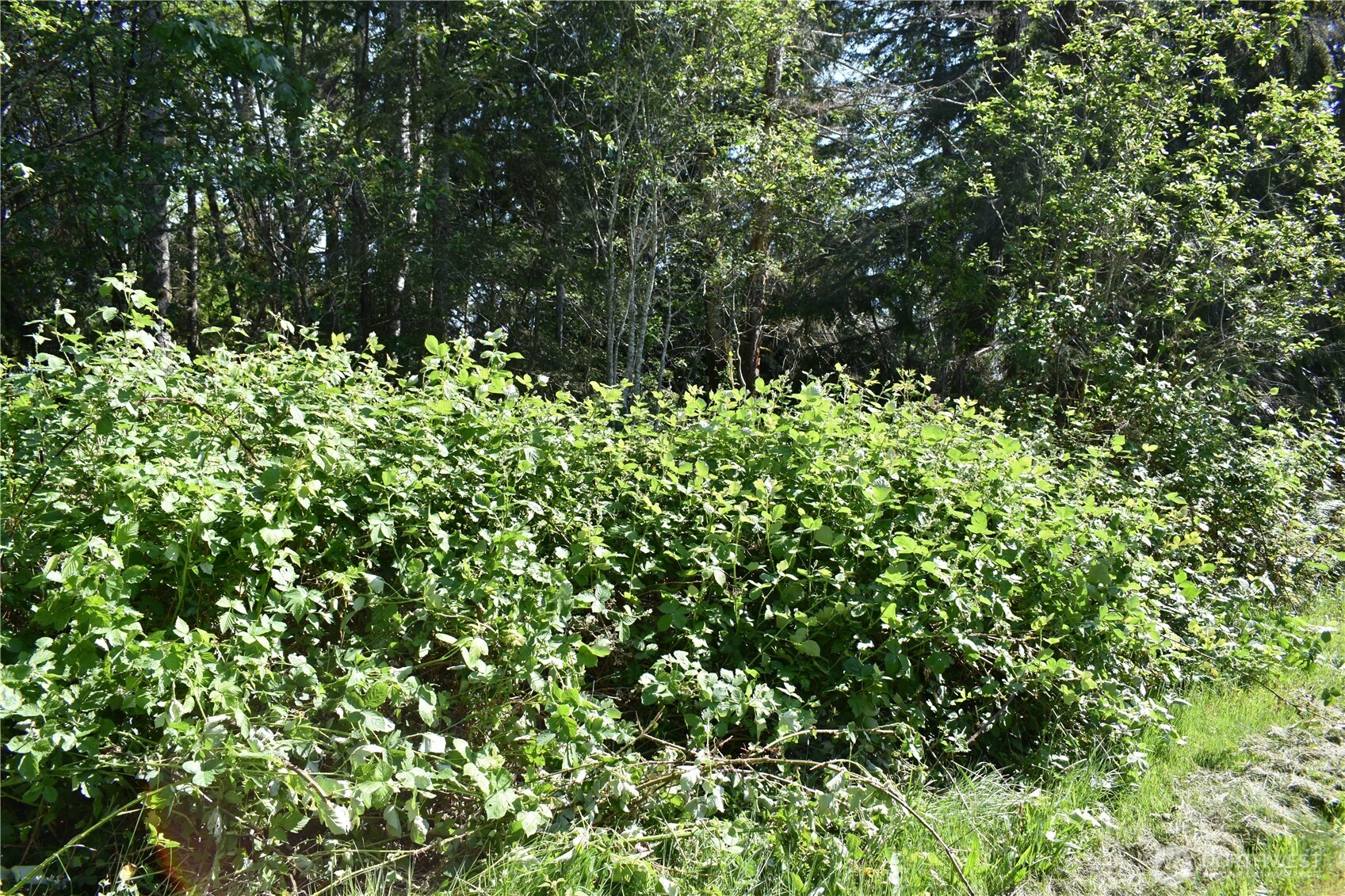 130 W Satsop Drive Elma WA 98541
