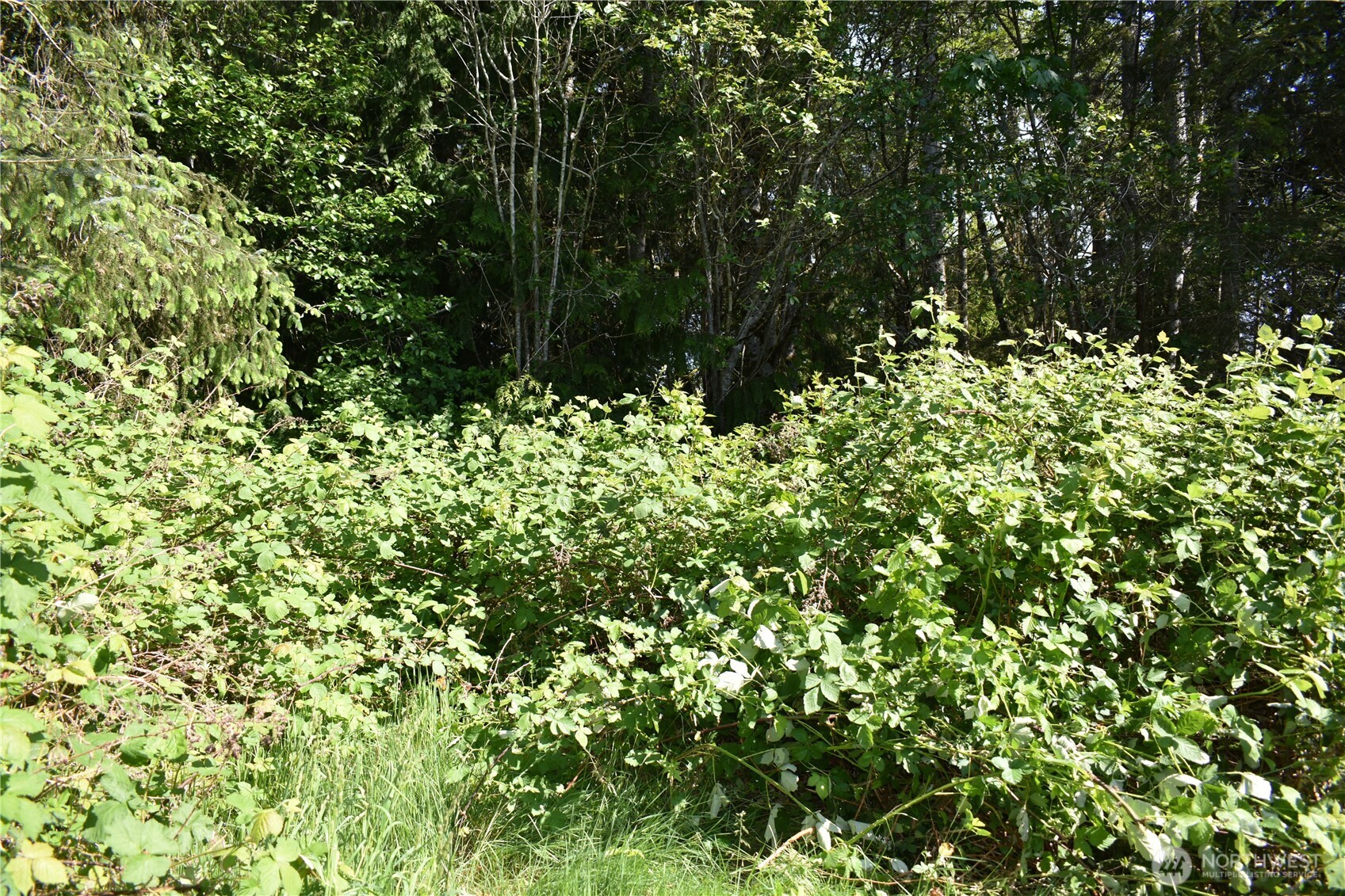 130 W Satsop Drive Elma WA 98541