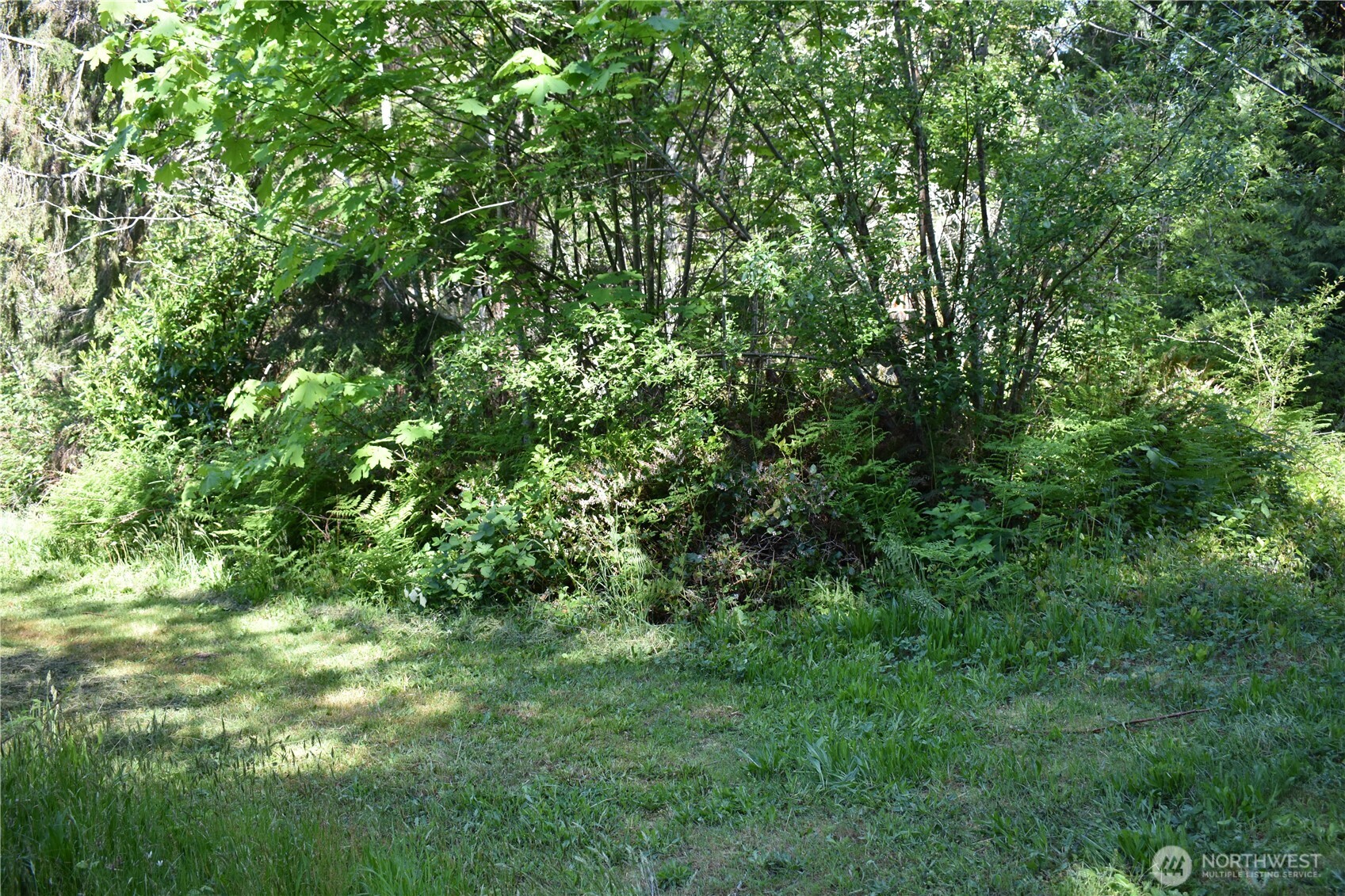 130 W Satsop Drive Elma WA 98541
