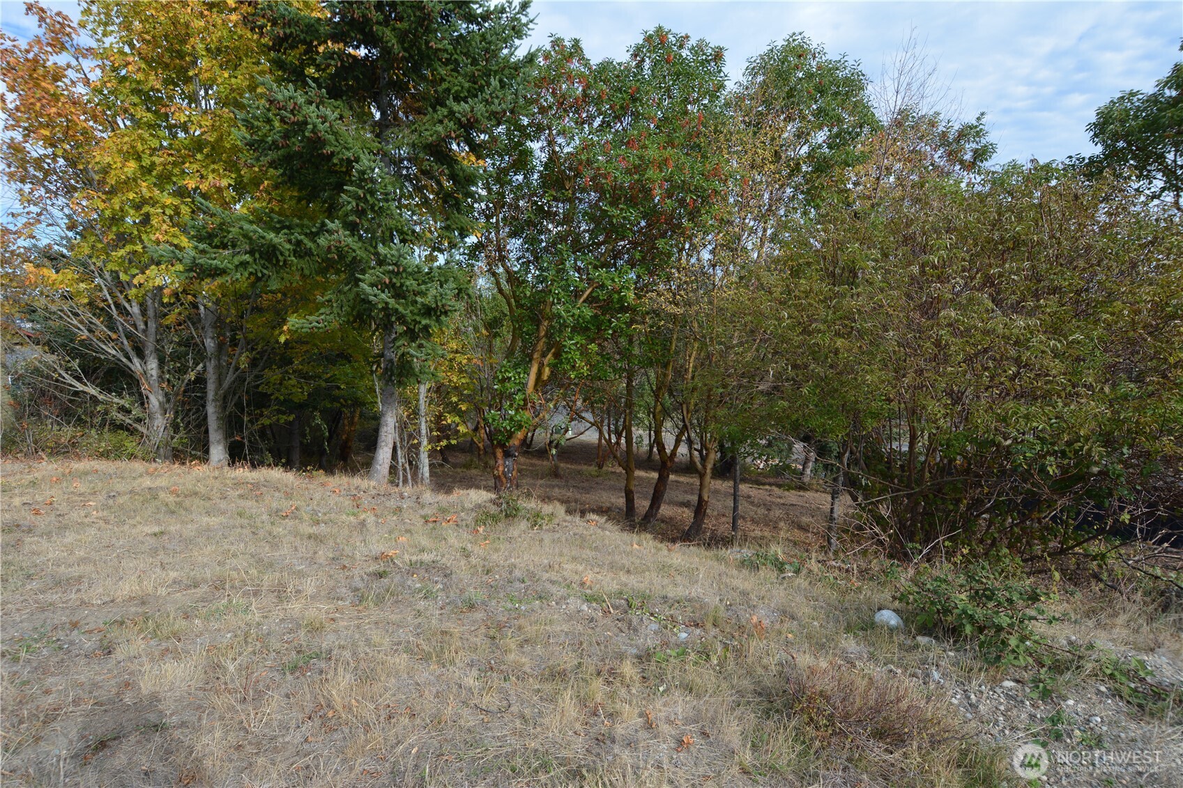 999 Moonlight Drive Sequim WA 98382