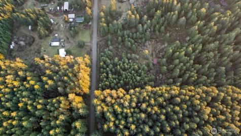 0 W Lost Lake Road Shelton WA 98584