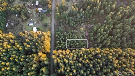 0 W Lost Lake Road Shelton WA 98584