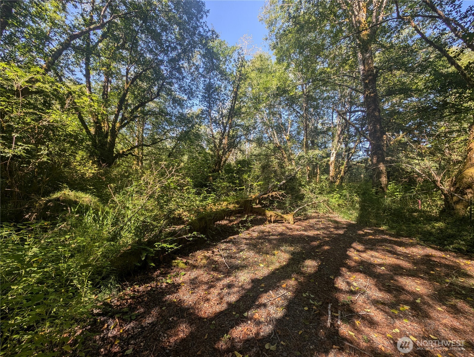 999 Whitcomb-dimmel Road Forks WA 98331