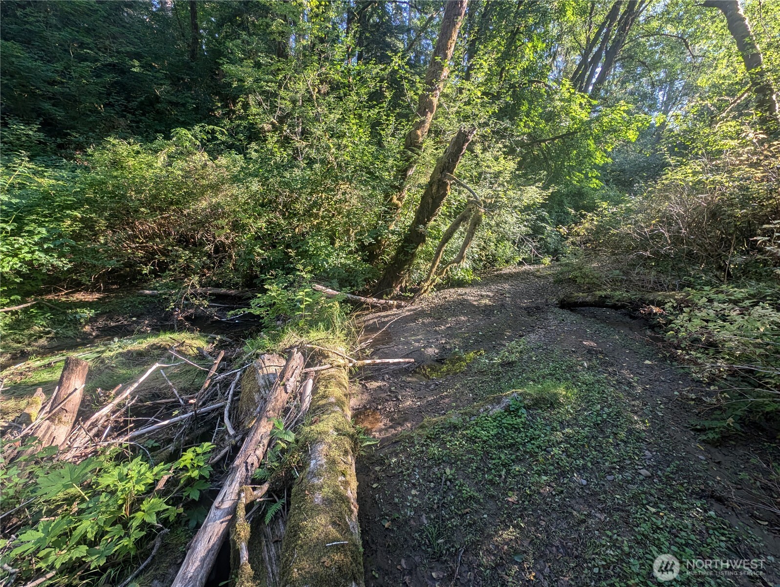 999 Whitcomb-dimmel Road Forks WA 98331