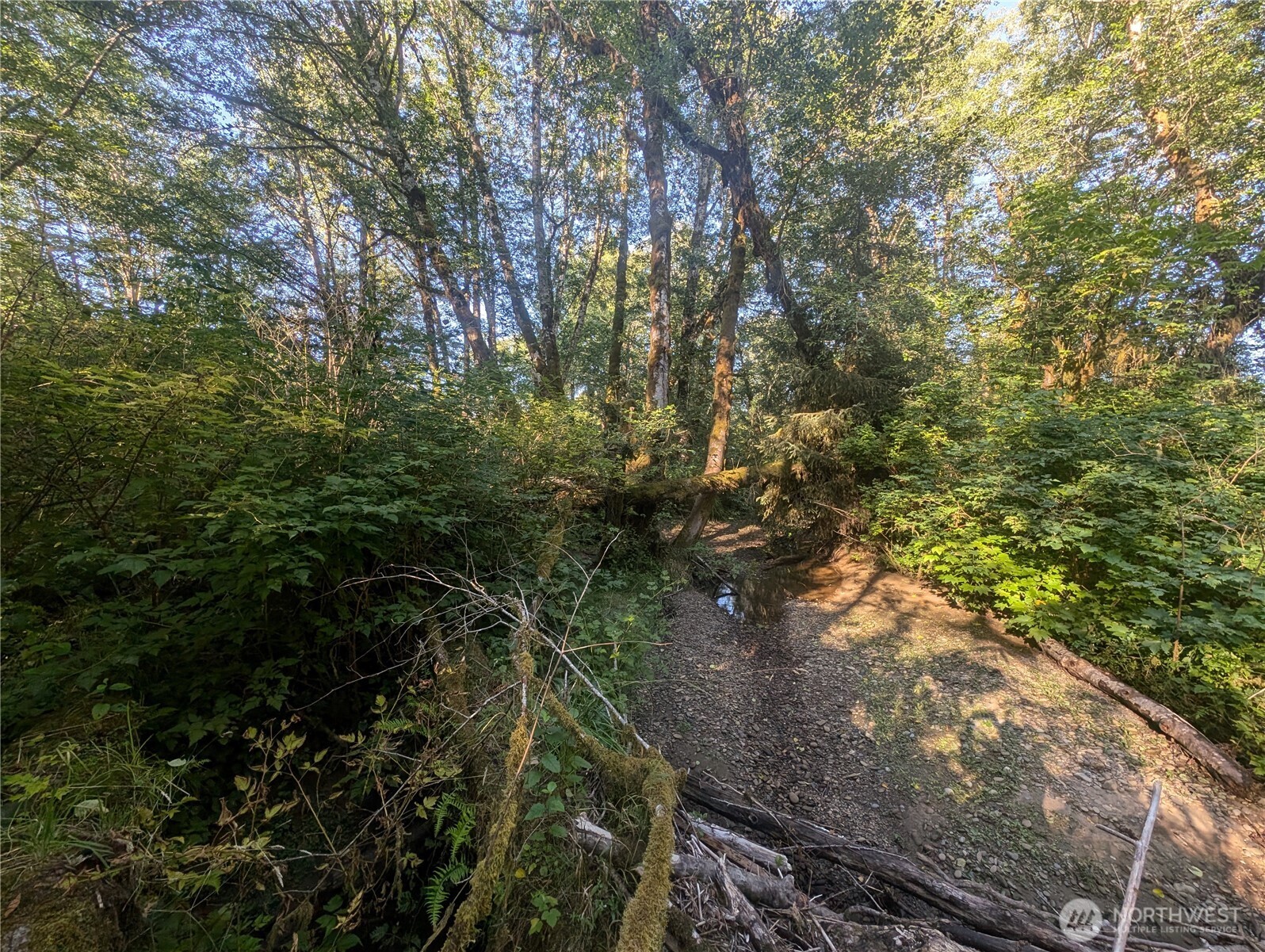 999 Whitcomb-dimmel Road Forks WA 98331