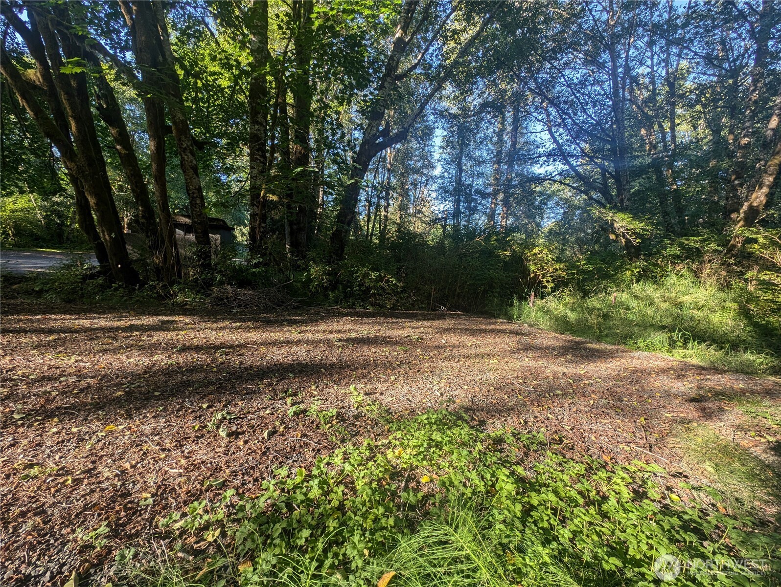 999 Whitcomb-dimmel Road Forks WA 98331