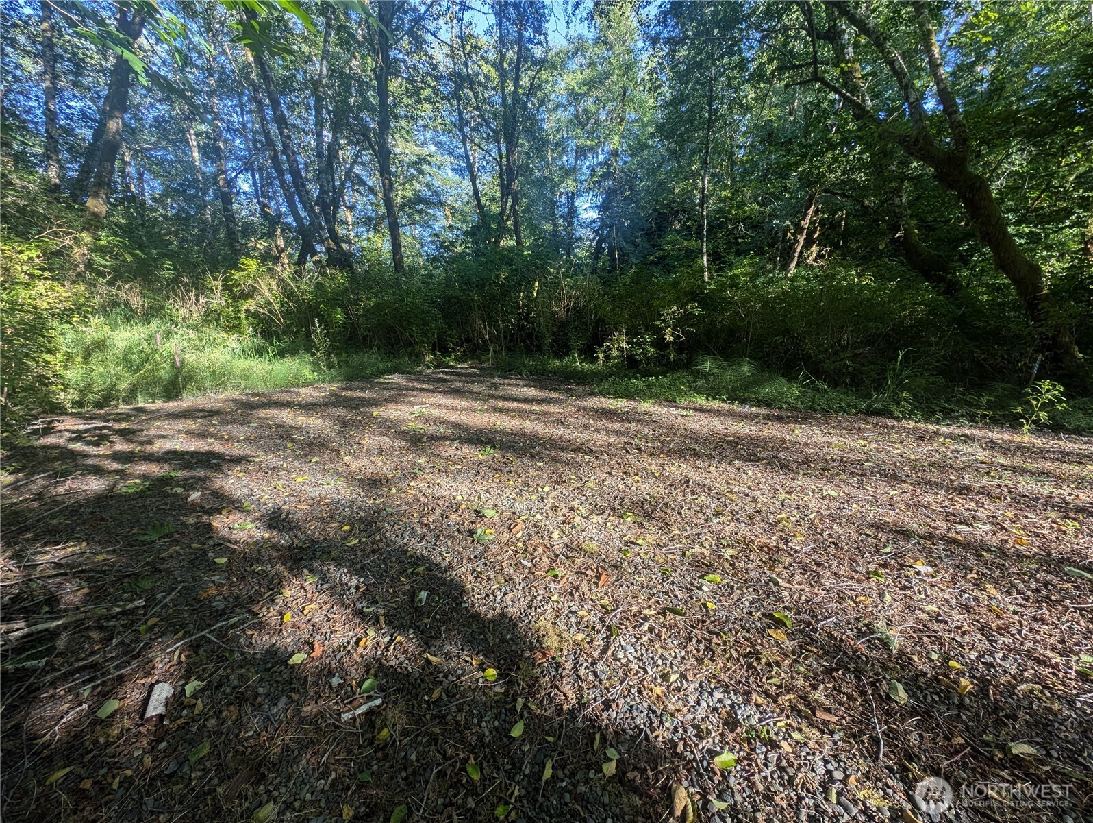 999 Whitcomb-dimmel Road Forks WA 98331