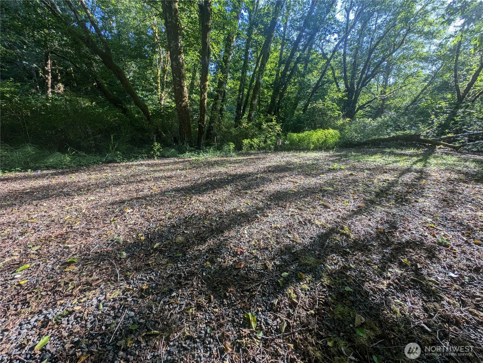 999 Whitcomb-dimmel Road Forks WA 98331