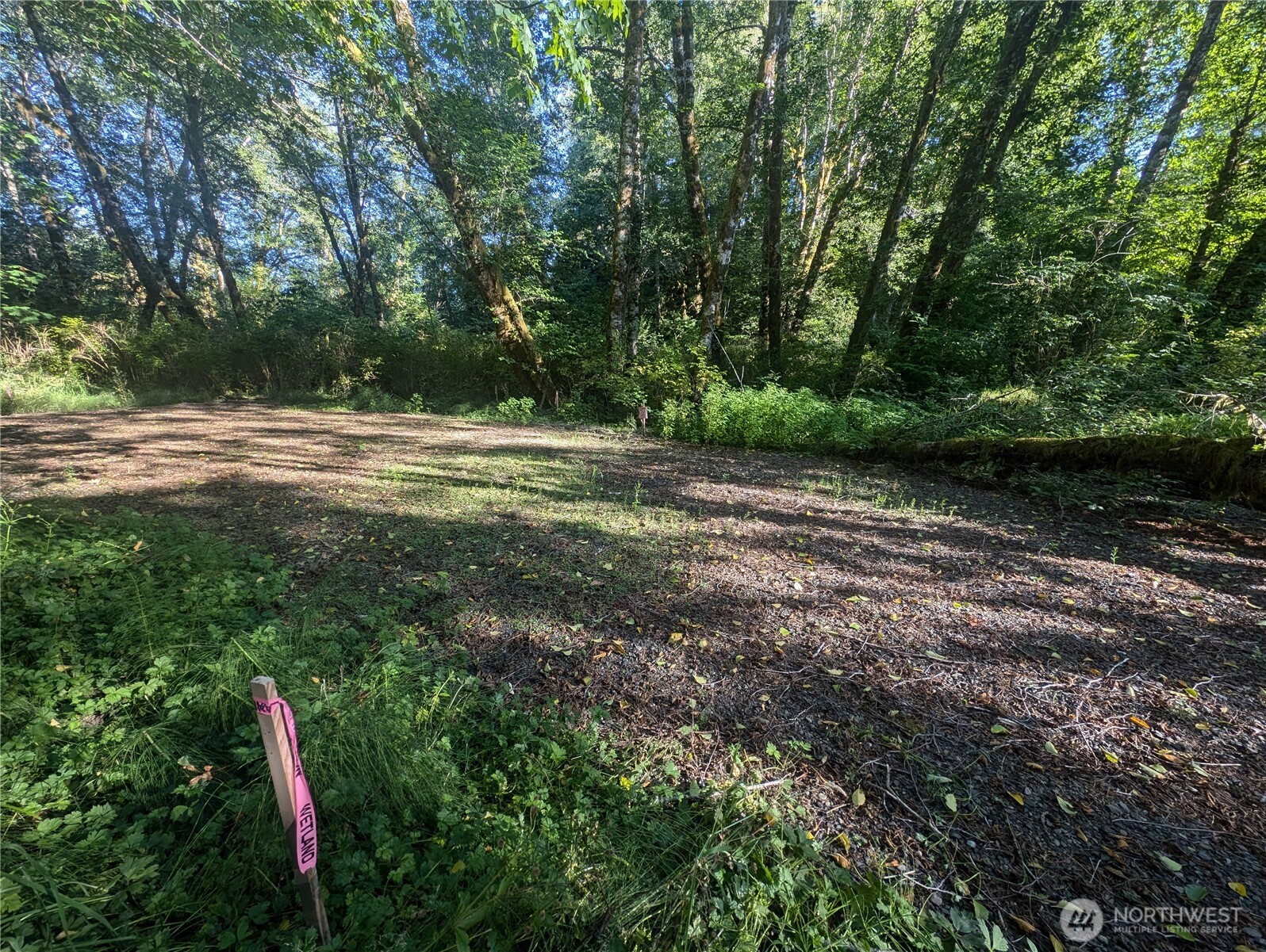 999 Whitcomb-dimmel Road Forks WA 98331