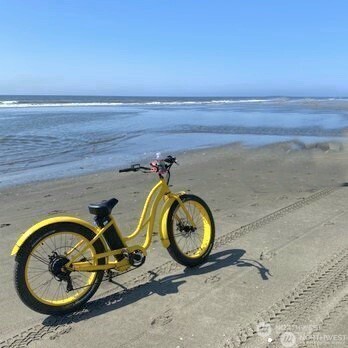 729 Wood Duck Avenue SE Ocean Shores WA 98569