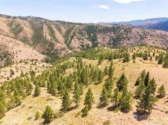 3 Lot Mud Creek Road Entiat WA 98822