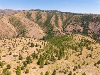 3 Lot Mud Creek Road Entiat WA 98822