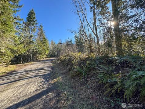 0 E Angeles Ridge Road Port Angeles WA 98362