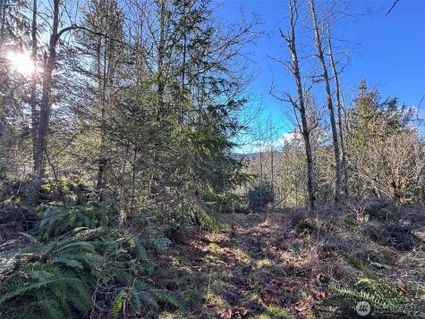 0 E Angeles Ridge Road Port Angeles WA 98362
