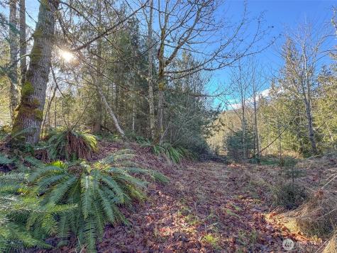 0 E Angeles Ridge Road Port Angeles WA 98362