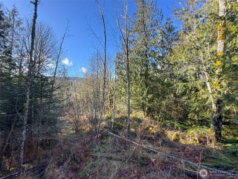 0 E Angeles Ridge Road Port Angeles WA 98362