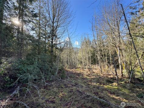 0 E Angeles Ridge Road Port Angeles WA 98362